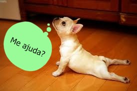 pilates-cachorro-2